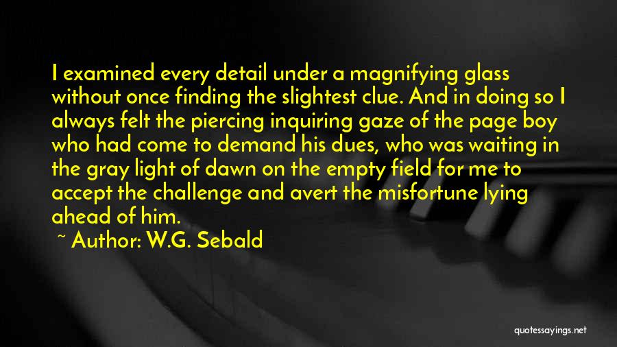 W.G. Sebald Quotes: I Examined Every Detail Under A Magnifying Glass Without Once Finding The Slightest Clue. And In Doing So I Always