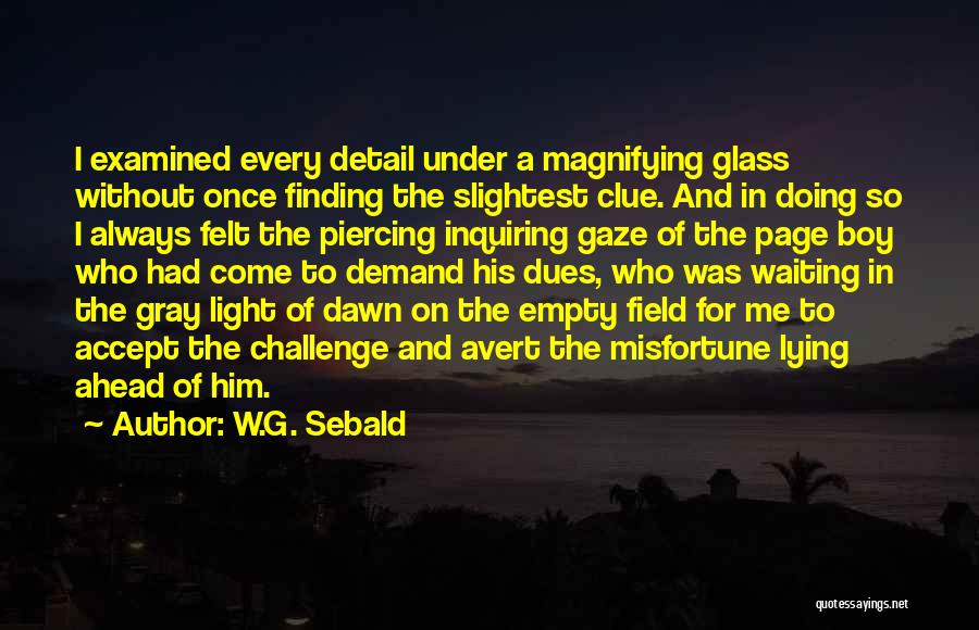 W.G. Sebald Quotes: I Examined Every Detail Under A Magnifying Glass Without Once Finding The Slightest Clue. And In Doing So I Always