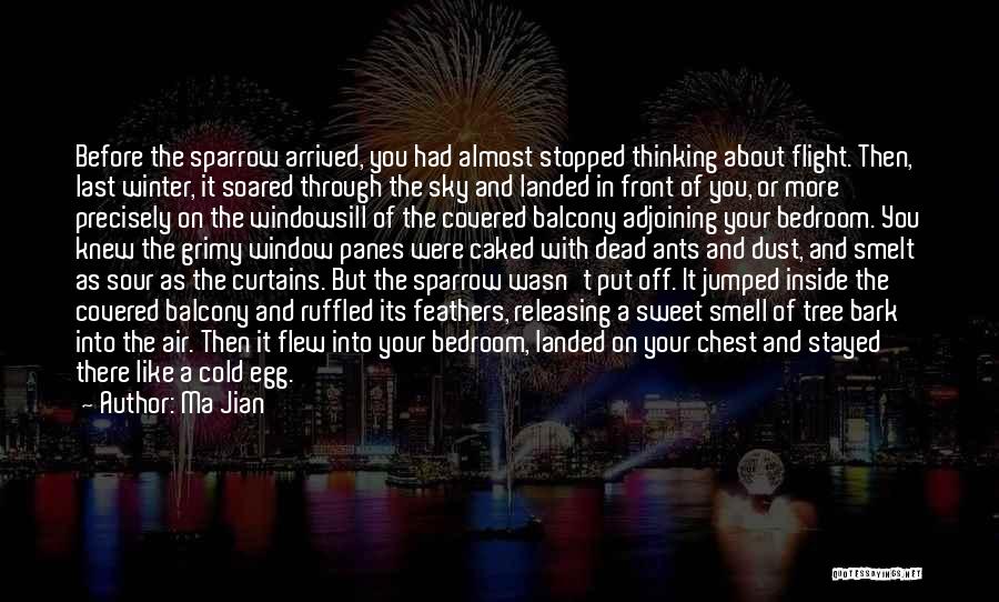 Ma Jian Quotes: Before The Sparrow Arrived, You Had Almost Stopped Thinking About Flight. Then, Last Winter, It Soared Through The Sky And