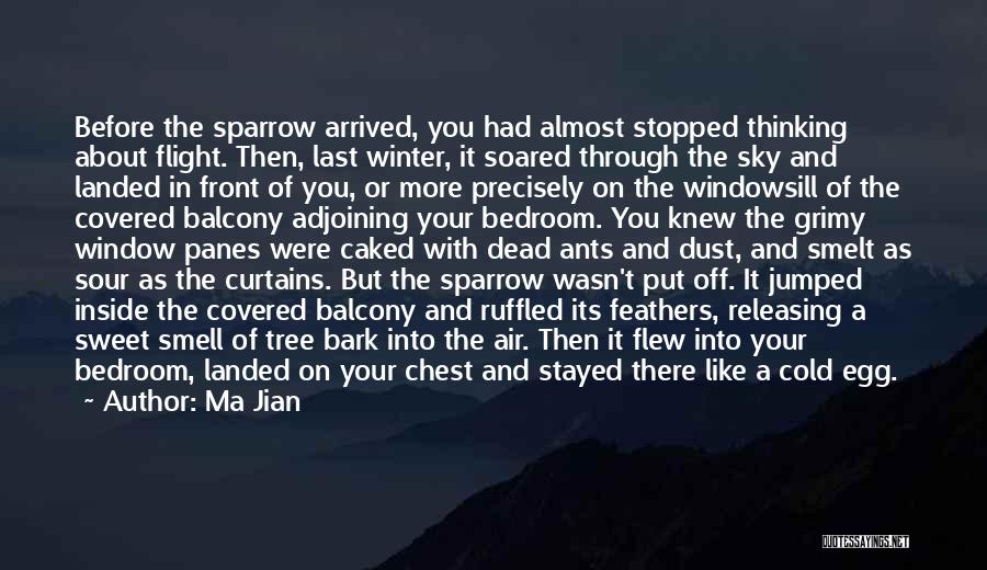 Ma Jian Quotes: Before The Sparrow Arrived, You Had Almost Stopped Thinking About Flight. Then, Last Winter, It Soared Through The Sky And