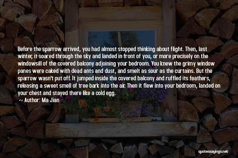 Ma Jian Quotes: Before The Sparrow Arrived, You Had Almost Stopped Thinking About Flight. Then, Last Winter, It Soared Through The Sky And