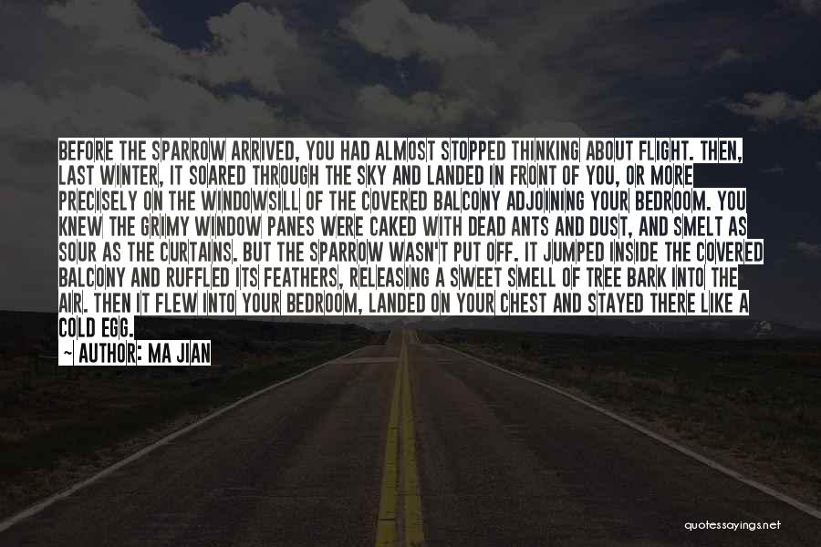 Ma Jian Quotes: Before The Sparrow Arrived, You Had Almost Stopped Thinking About Flight. Then, Last Winter, It Soared Through The Sky And