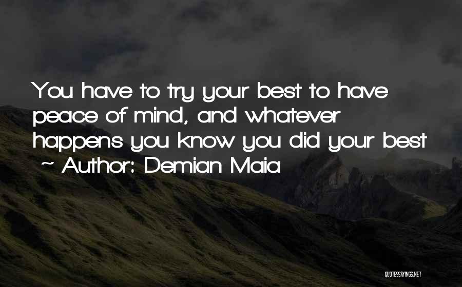 Demian Maia Quotes: You Have To Try Your Best To Have Peace Of Mind, And Whatever Happens You Know You Did Your Best