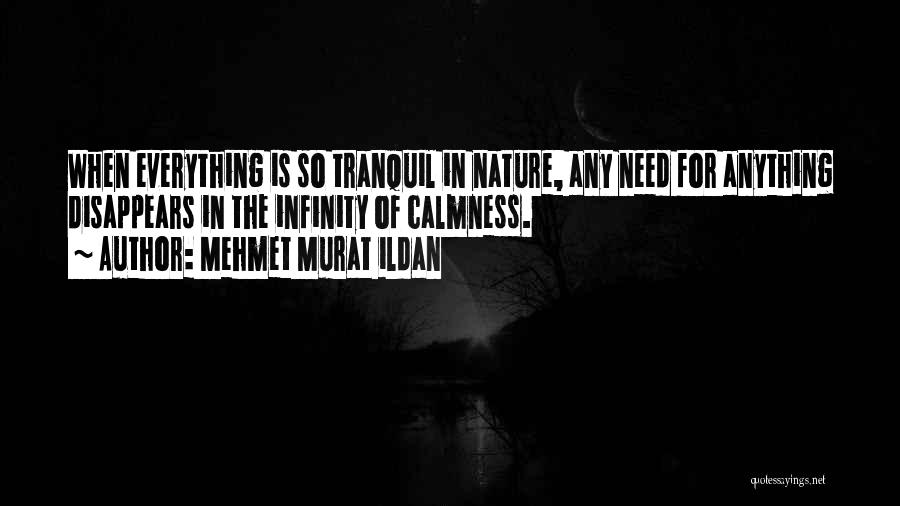 Mehmet Murat Ildan Quotes: When Everything Is So Tranquil In Nature, Any Need For Anything Disappears In The Infinity Of Calmness.