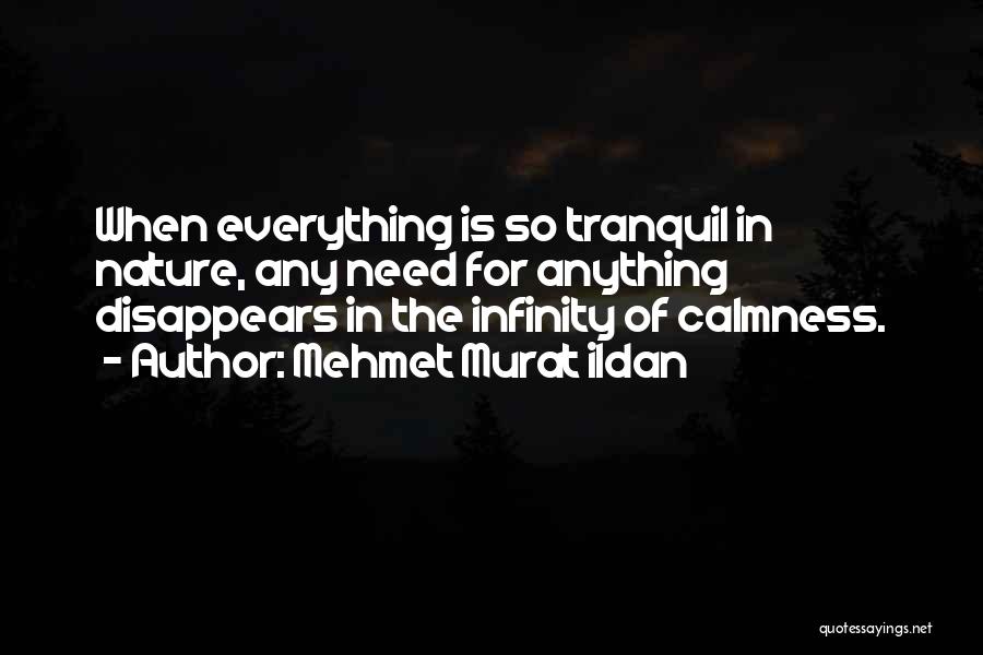 Mehmet Murat Ildan Quotes: When Everything Is So Tranquil In Nature, Any Need For Anything Disappears In The Infinity Of Calmness.