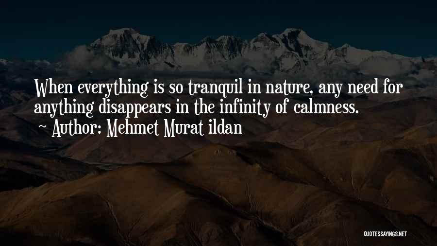 Mehmet Murat Ildan Quotes: When Everything Is So Tranquil In Nature, Any Need For Anything Disappears In The Infinity Of Calmness.