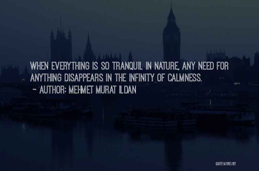 Mehmet Murat Ildan Quotes: When Everything Is So Tranquil In Nature, Any Need For Anything Disappears In The Infinity Of Calmness.