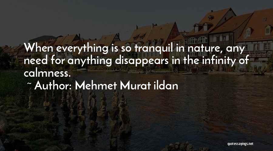 Mehmet Murat Ildan Quotes: When Everything Is So Tranquil In Nature, Any Need For Anything Disappears In The Infinity Of Calmness.