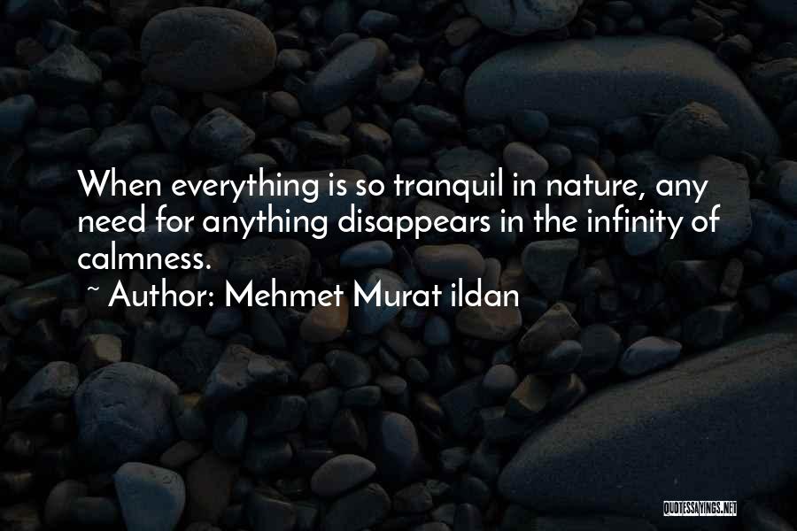 Mehmet Murat Ildan Quotes: When Everything Is So Tranquil In Nature, Any Need For Anything Disappears In The Infinity Of Calmness.