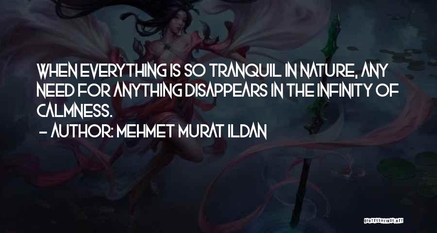 Mehmet Murat Ildan Quotes: When Everything Is So Tranquil In Nature, Any Need For Anything Disappears In The Infinity Of Calmness.