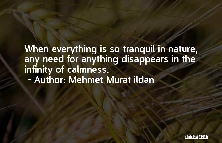 Mehmet Murat Ildan Quotes: When Everything Is So Tranquil In Nature, Any Need For Anything Disappears In The Infinity Of Calmness.