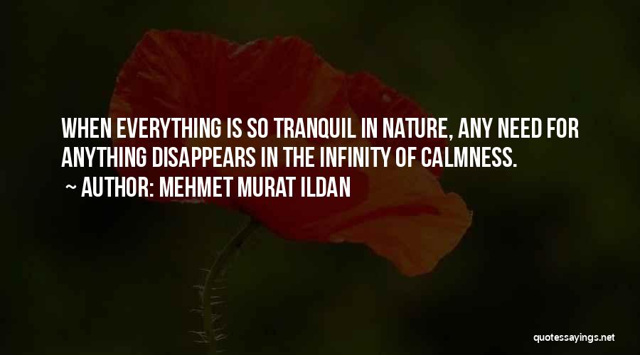 Mehmet Murat Ildan Quotes: When Everything Is So Tranquil In Nature, Any Need For Anything Disappears In The Infinity Of Calmness.