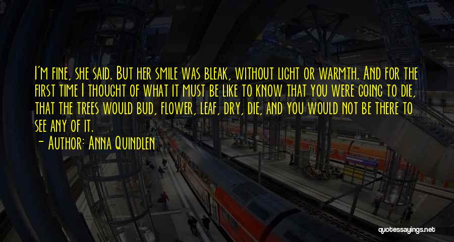 Anna Quindlen Quotes: I'm Fine, She Said. But Her Smile Was Bleak, Without Light Or Warmth. And For The First Time I Thought