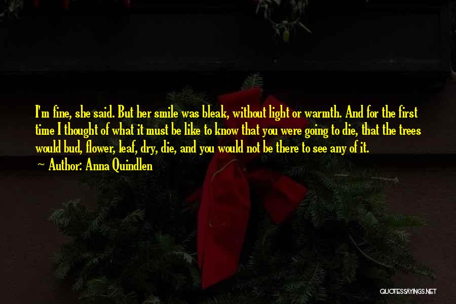 Anna Quindlen Quotes: I'm Fine, She Said. But Her Smile Was Bleak, Without Light Or Warmth. And For The First Time I Thought