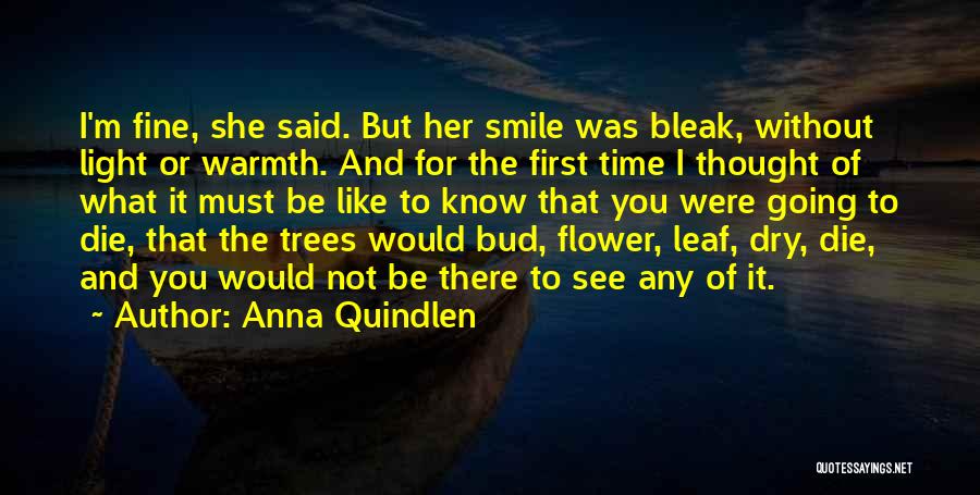 Anna Quindlen Quotes: I'm Fine, She Said. But Her Smile Was Bleak, Without Light Or Warmth. And For The First Time I Thought