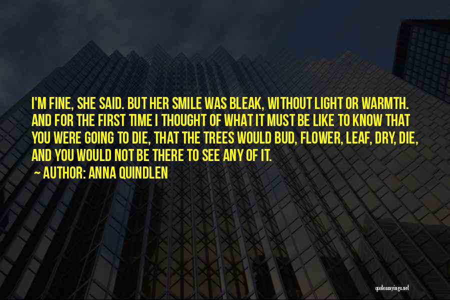 Anna Quindlen Quotes: I'm Fine, She Said. But Her Smile Was Bleak, Without Light Or Warmth. And For The First Time I Thought