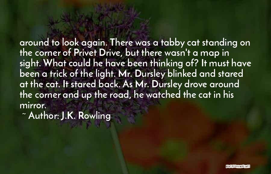 J.K. Rowling Quotes: Around To Look Again. There Was A Tabby Cat Standing On The Corner Of Privet Drive, But There Wasn't A