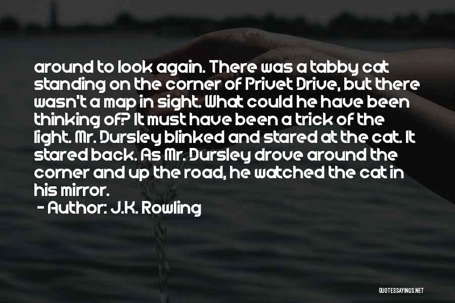 J.K. Rowling Quotes: Around To Look Again. There Was A Tabby Cat Standing On The Corner Of Privet Drive, But There Wasn't A