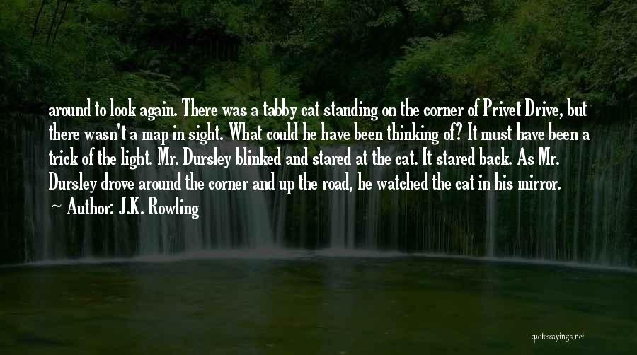 J.K. Rowling Quotes: Around To Look Again. There Was A Tabby Cat Standing On The Corner Of Privet Drive, But There Wasn't A