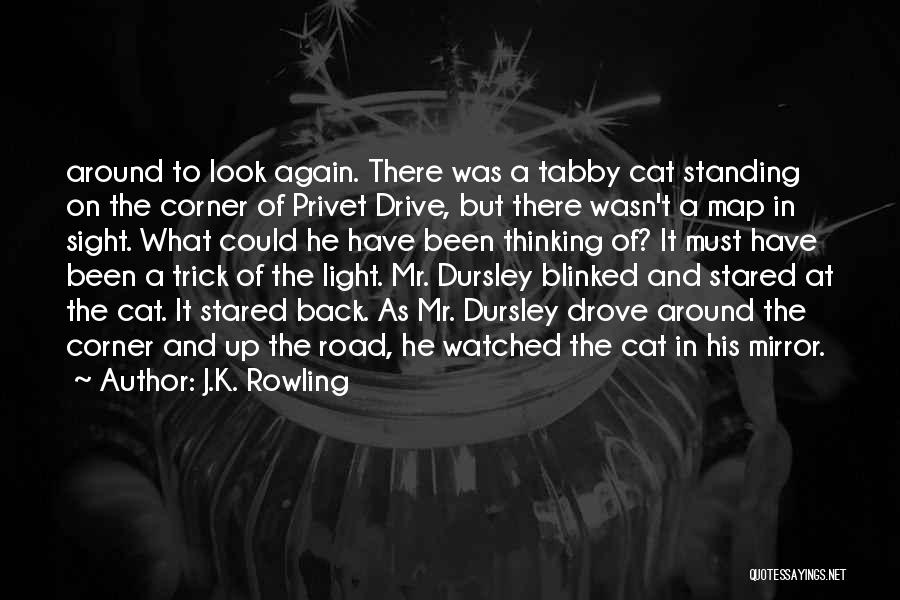 J.K. Rowling Quotes: Around To Look Again. There Was A Tabby Cat Standing On The Corner Of Privet Drive, But There Wasn't A