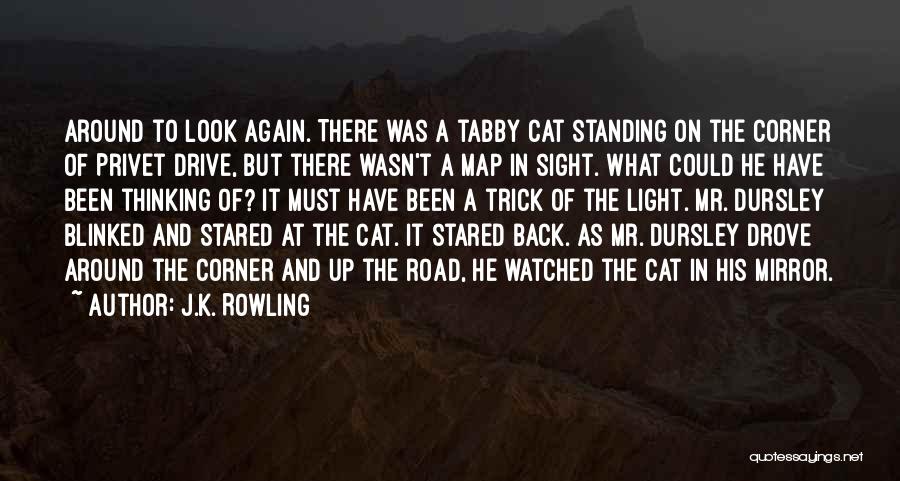 J.K. Rowling Quotes: Around To Look Again. There Was A Tabby Cat Standing On The Corner Of Privet Drive, But There Wasn't A