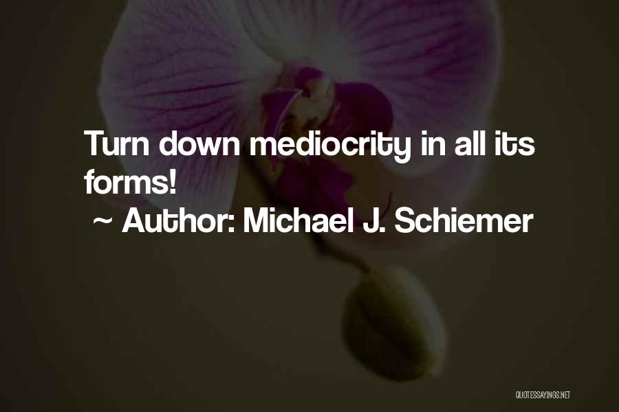 94 Meetings Quotes By Michael J. Schiemer