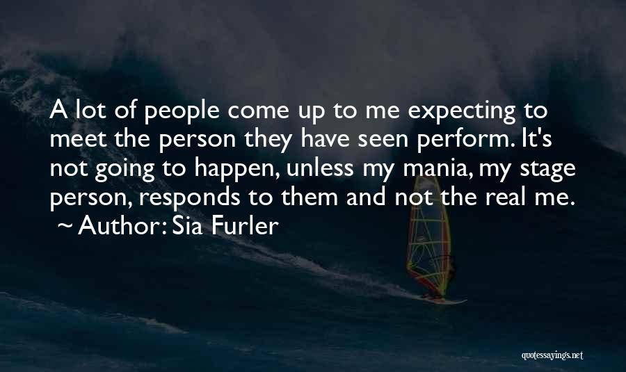 94 Meetings Quotes By Sia Furler