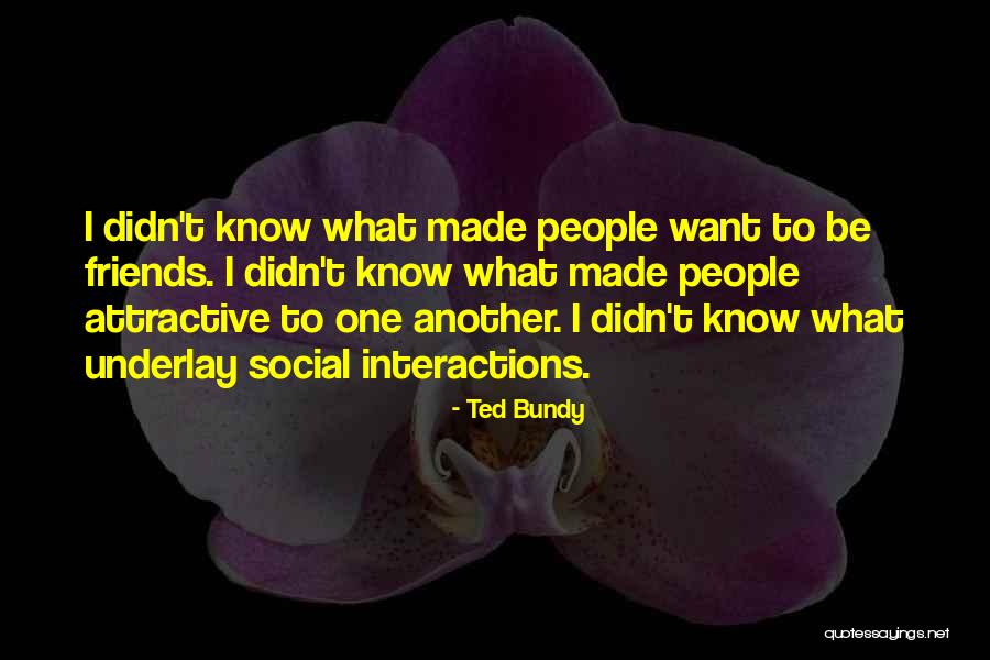 94 Meetings Quotes By Ted Bundy