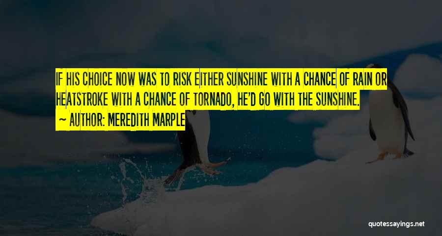 Meredith Marple Quotes: If His Choice Now Was To Risk Either Sunshine With A Chance Of Rain Or Heatstroke With A Chance Of