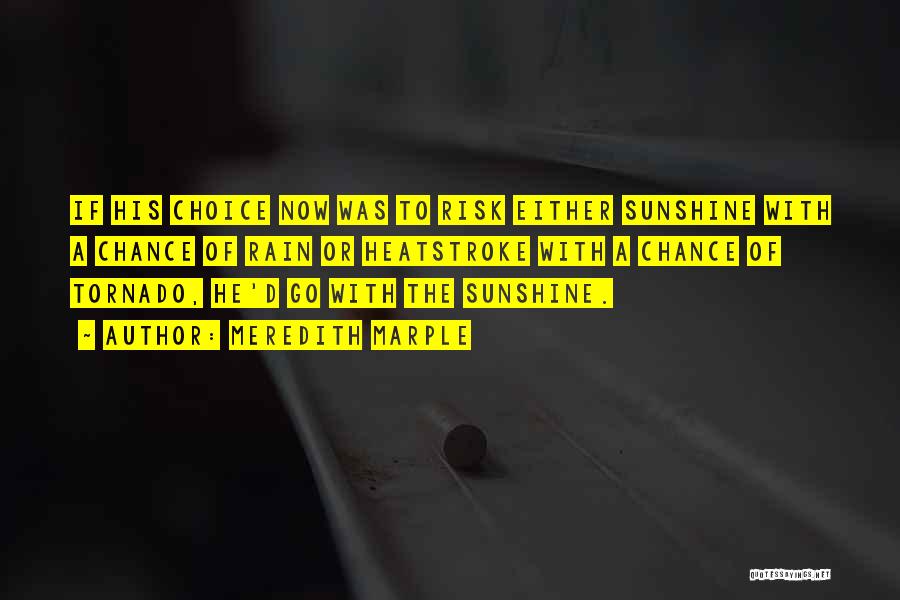 Meredith Marple Quotes: If His Choice Now Was To Risk Either Sunshine With A Chance Of Rain Or Heatstroke With A Chance Of