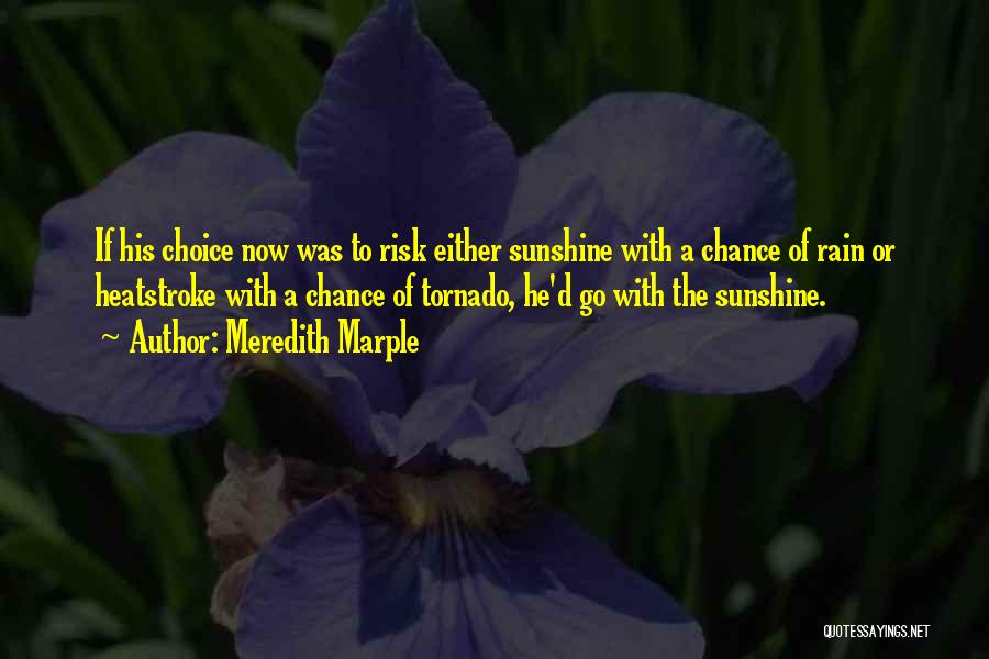 Meredith Marple Quotes: If His Choice Now Was To Risk Either Sunshine With A Chance Of Rain Or Heatstroke With A Chance Of