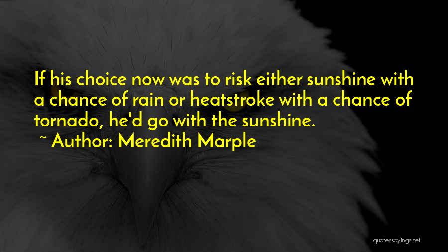 Meredith Marple Quotes: If His Choice Now Was To Risk Either Sunshine With A Chance Of Rain Or Heatstroke With A Chance Of