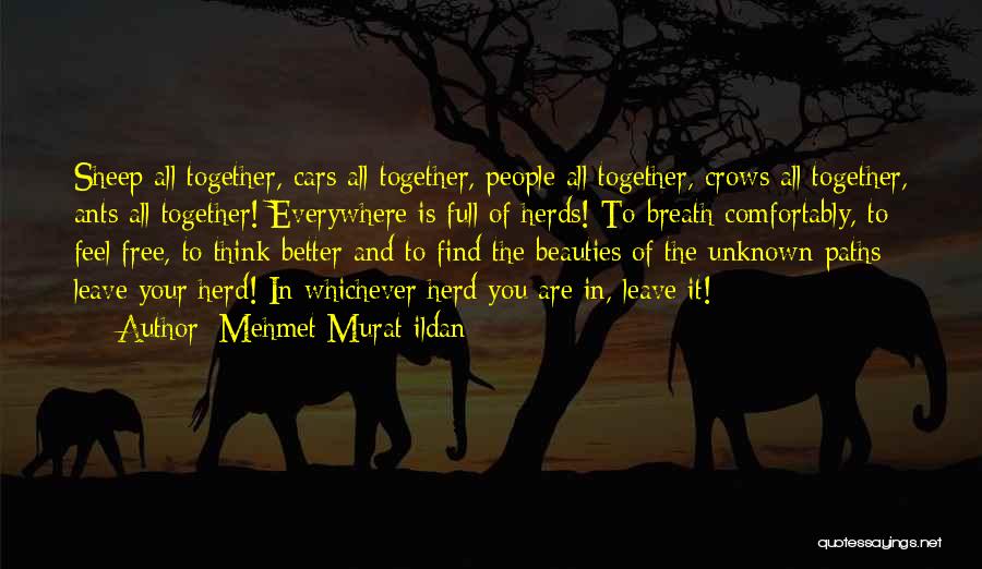 Mehmet Murat Ildan Quotes: Sheep All Together, Cars All Together, People All Together, Crows All Together, Ants All Together! Everywhere Is Full Of Herds!