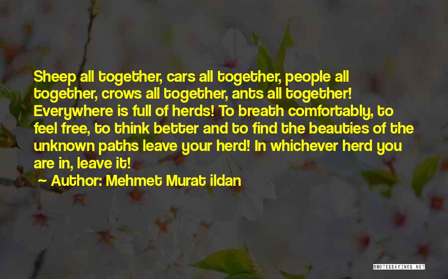 Mehmet Murat Ildan Quotes: Sheep All Together, Cars All Together, People All Together, Crows All Together, Ants All Together! Everywhere Is Full Of Herds!