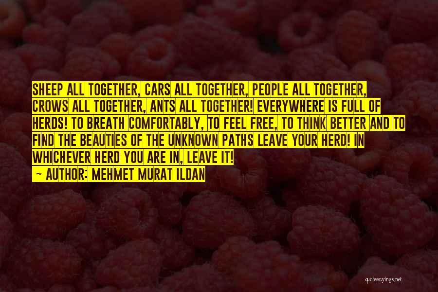 Mehmet Murat Ildan Quotes: Sheep All Together, Cars All Together, People All Together, Crows All Together, Ants All Together! Everywhere Is Full Of Herds!