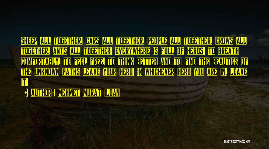Mehmet Murat Ildan Quotes: Sheep All Together, Cars All Together, People All Together, Crows All Together, Ants All Together! Everywhere Is Full Of Herds!