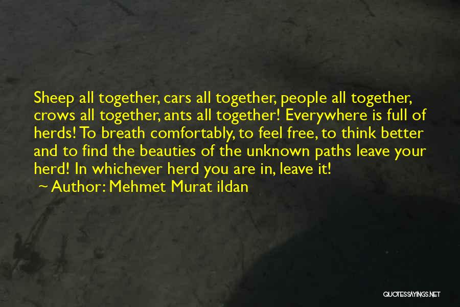Mehmet Murat Ildan Quotes: Sheep All Together, Cars All Together, People All Together, Crows All Together, Ants All Together! Everywhere Is Full Of Herds!