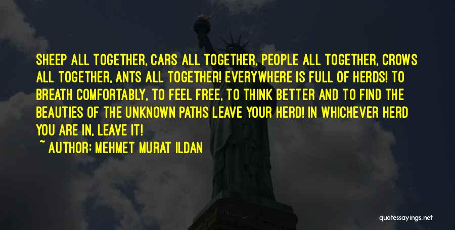 Mehmet Murat Ildan Quotes: Sheep All Together, Cars All Together, People All Together, Crows All Together, Ants All Together! Everywhere Is Full Of Herds!