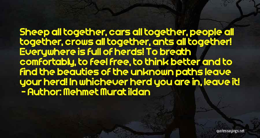 Mehmet Murat Ildan Quotes: Sheep All Together, Cars All Together, People All Together, Crows All Together, Ants All Together! Everywhere Is Full Of Herds!