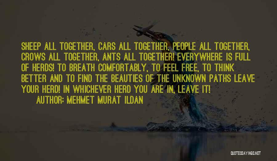 Mehmet Murat Ildan Quotes: Sheep All Together, Cars All Together, People All Together, Crows All Together, Ants All Together! Everywhere Is Full Of Herds!