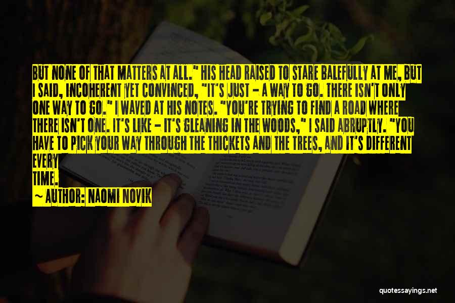 Naomi Novik Quotes: But None Of That Matters At All. His Head Raised To Stare Balefully At Me, But I Said, Incoherent Yet