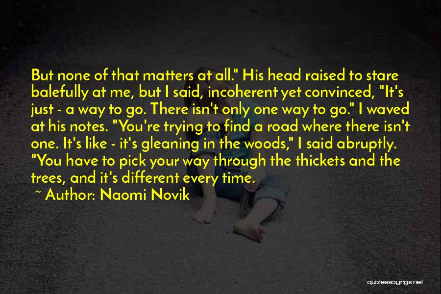 Naomi Novik Quotes: But None Of That Matters At All. His Head Raised To Stare Balefully At Me, But I Said, Incoherent Yet