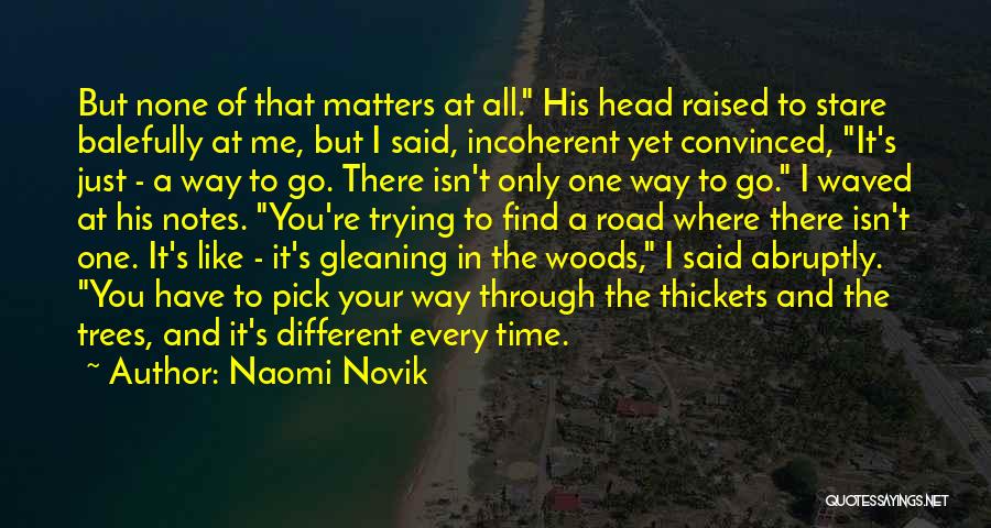 Naomi Novik Quotes: But None Of That Matters At All. His Head Raised To Stare Balefully At Me, But I Said, Incoherent Yet