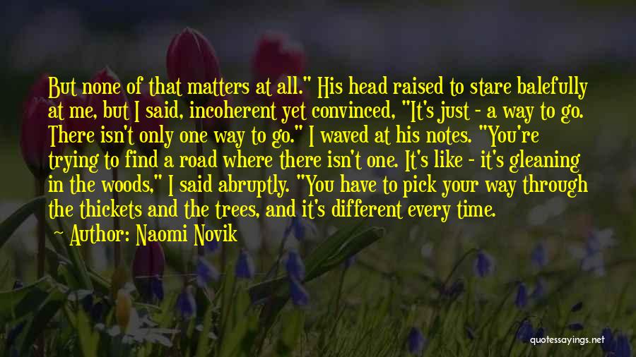 Naomi Novik Quotes: But None Of That Matters At All. His Head Raised To Stare Balefully At Me, But I Said, Incoherent Yet