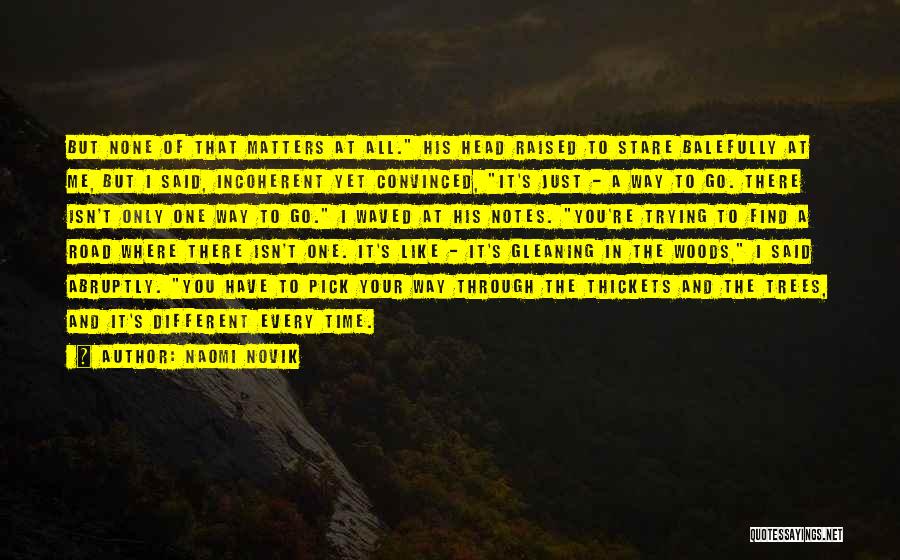 Naomi Novik Quotes: But None Of That Matters At All. His Head Raised To Stare Balefully At Me, But I Said, Incoherent Yet