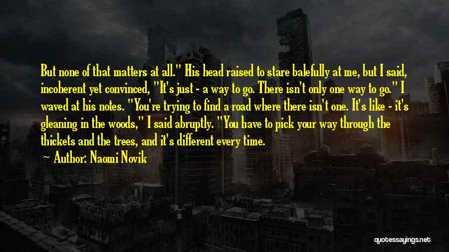 Naomi Novik Quotes: But None Of That Matters At All. His Head Raised To Stare Balefully At Me, But I Said, Incoherent Yet