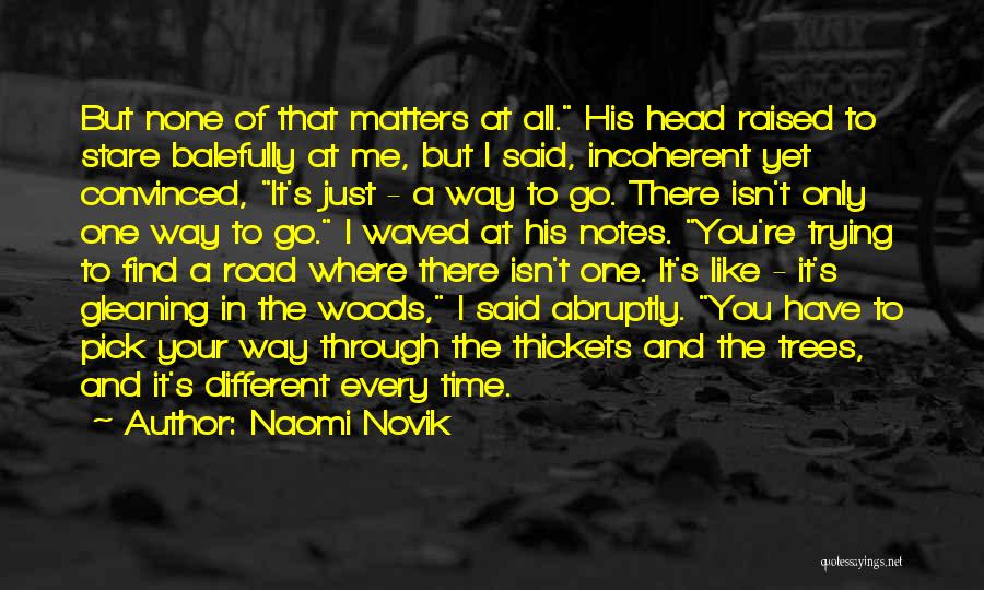 Naomi Novik Quotes: But None Of That Matters At All. His Head Raised To Stare Balefully At Me, But I Said, Incoherent Yet