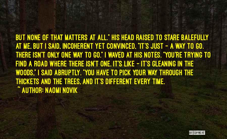 Naomi Novik Quotes: But None Of That Matters At All. His Head Raised To Stare Balefully At Me, But I Said, Incoherent Yet