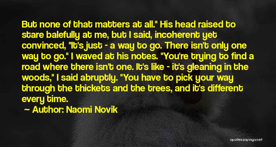 Naomi Novik Quotes: But None Of That Matters At All. His Head Raised To Stare Balefully At Me, But I Said, Incoherent Yet