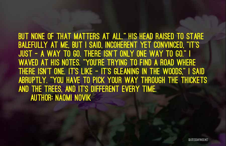 Naomi Novik Quotes: But None Of That Matters At All. His Head Raised To Stare Balefully At Me, But I Said, Incoherent Yet